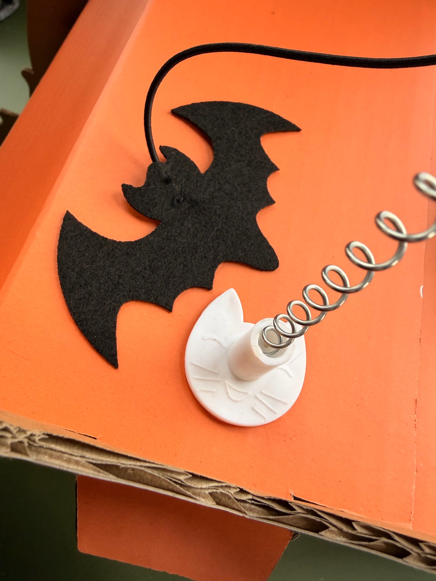 Cat'o'Lantern Cat Scratcher Pumpkin