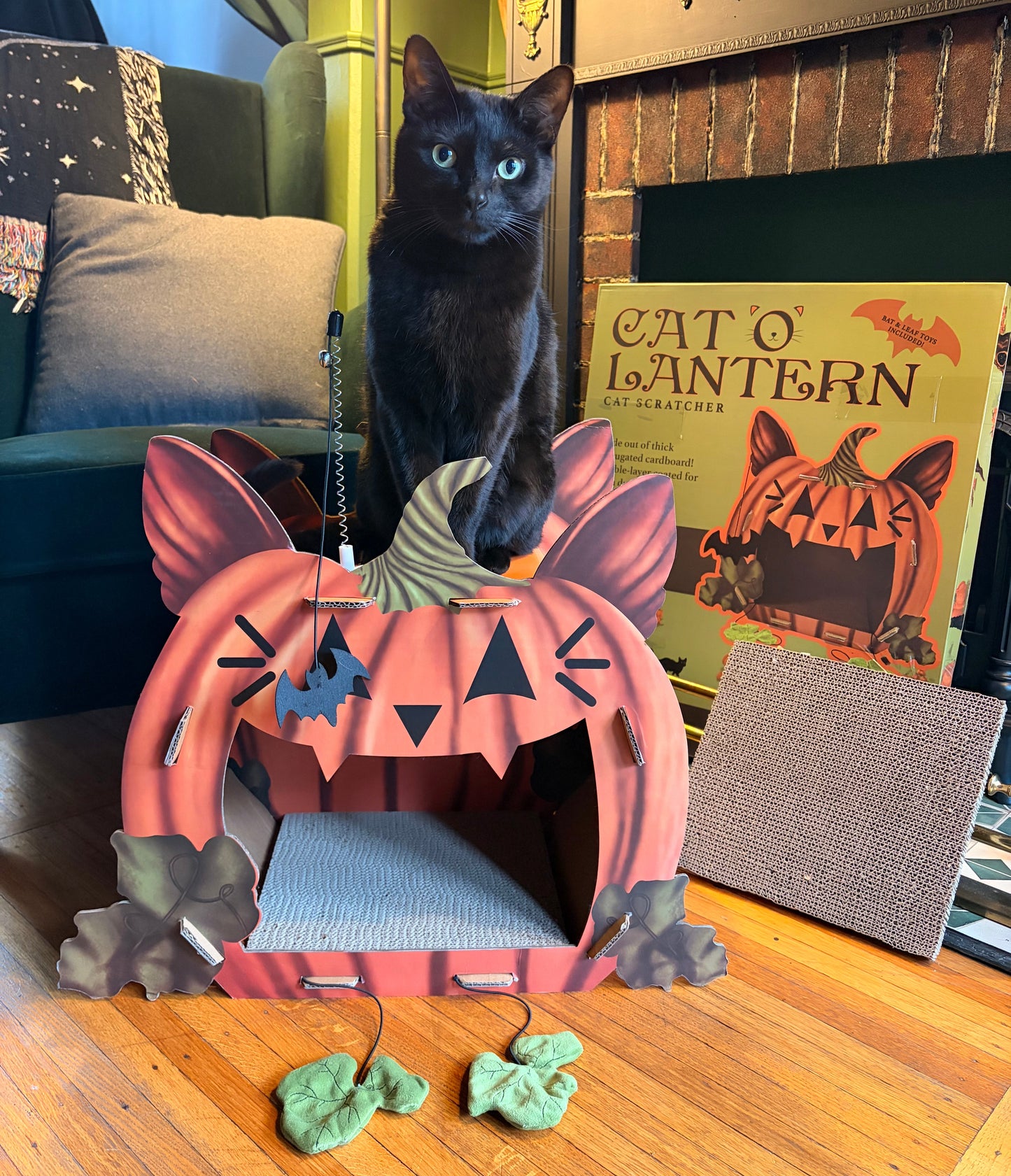 Cat'o'Lantern Cat Scratcher Pumpkin