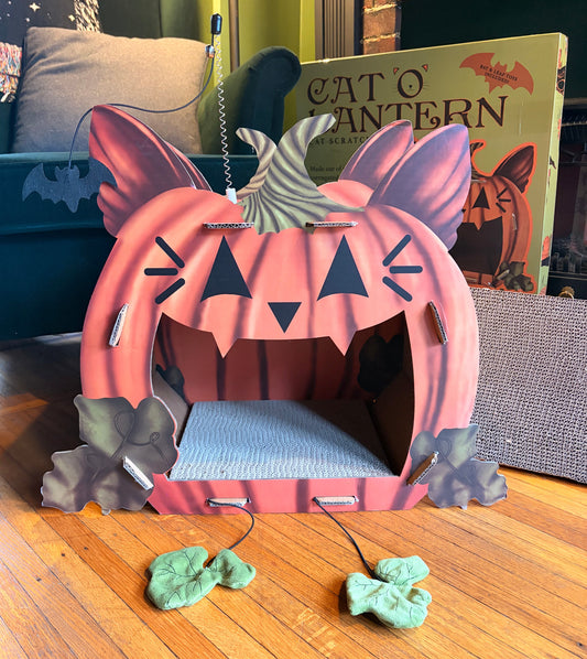 Cat'o'Lantern Cat Scratcher Pumpkin