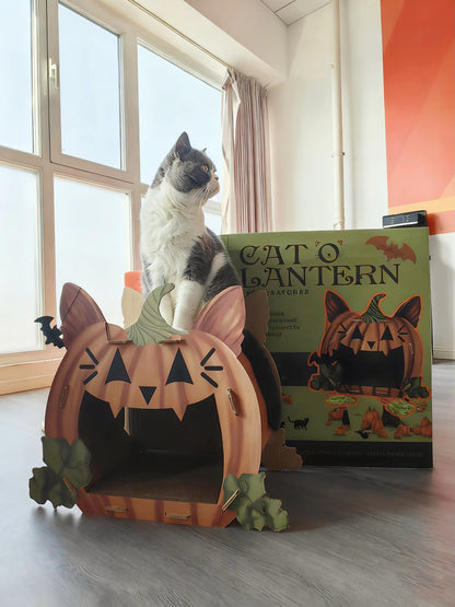 PRE-ORDER Cat'o'Lantern Cat Scratcher Pumpkin