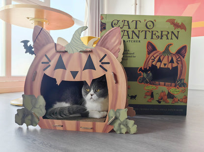 PRE-ORDER Cat'o'Lantern Cat Scratcher Pumpkin