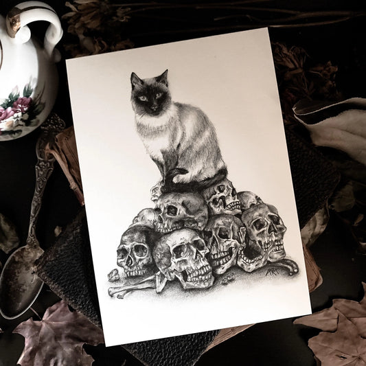 Skull Cat Print