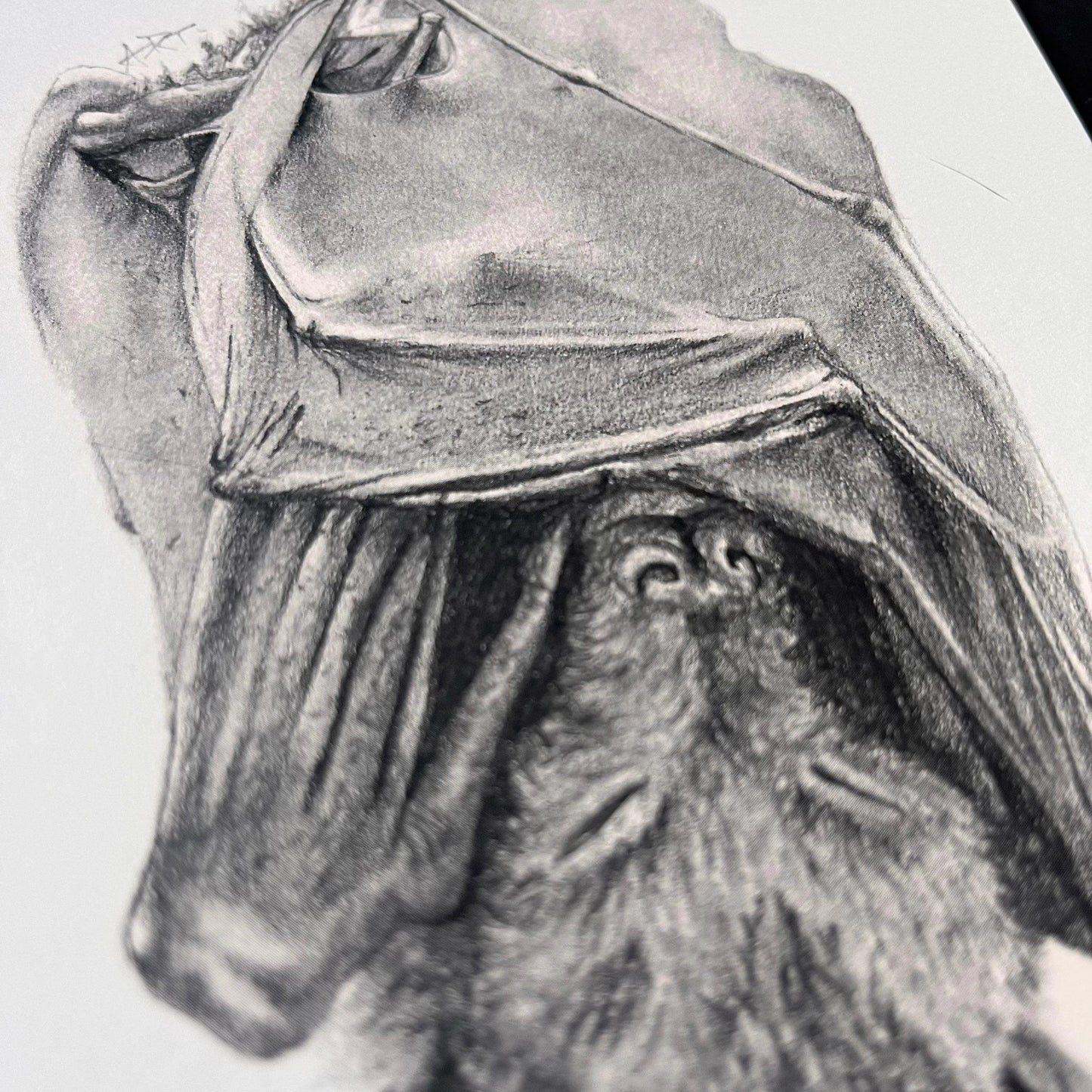 Sleeping Bat Print